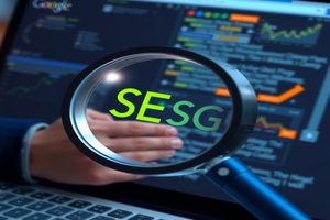 SEO中国站，优化秘籍库